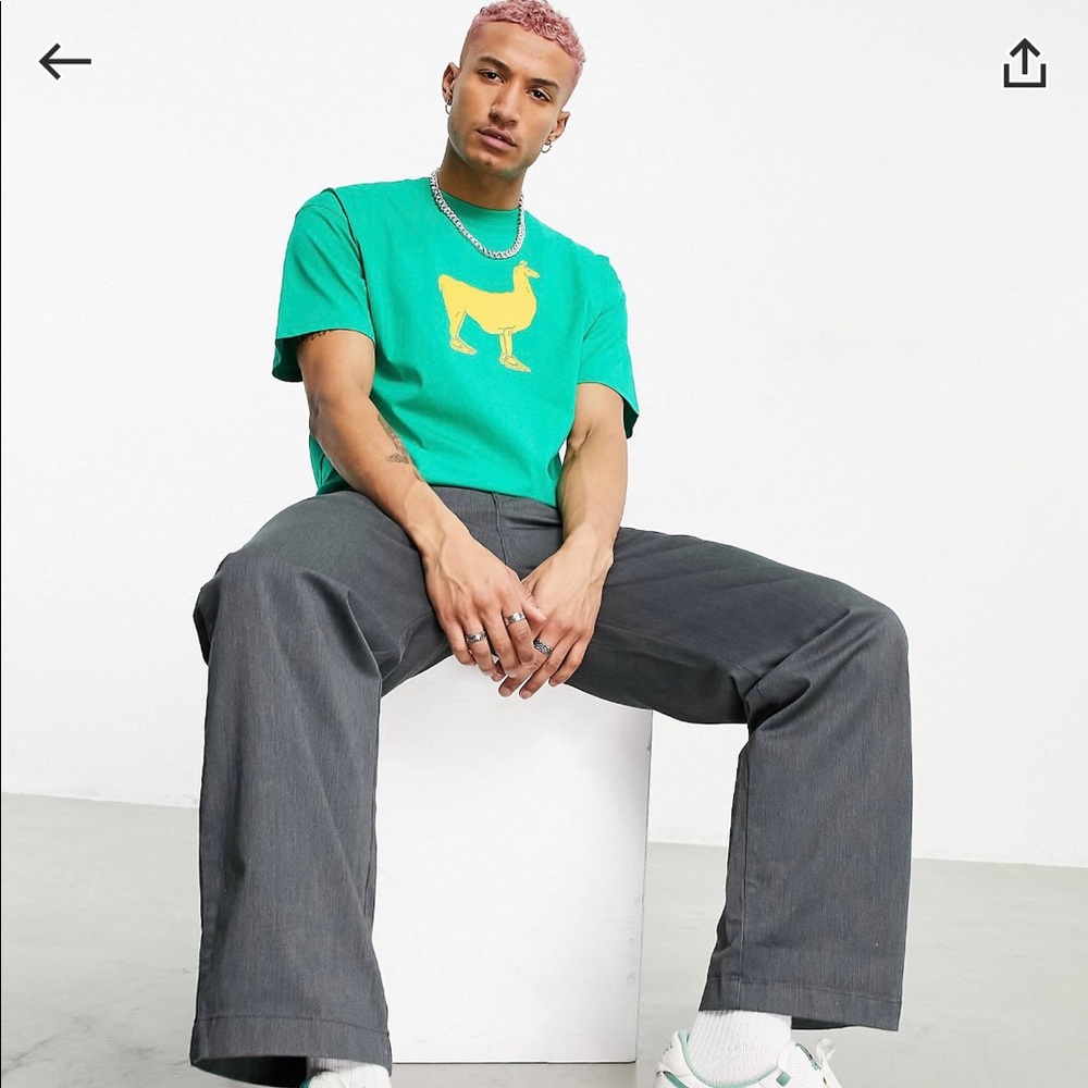 Nike SB Llama t-shirt in green